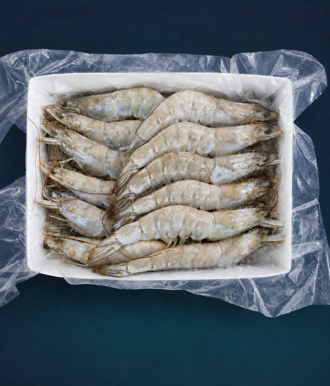 Vannamei shrimp 16/20 count, Zisah export pack